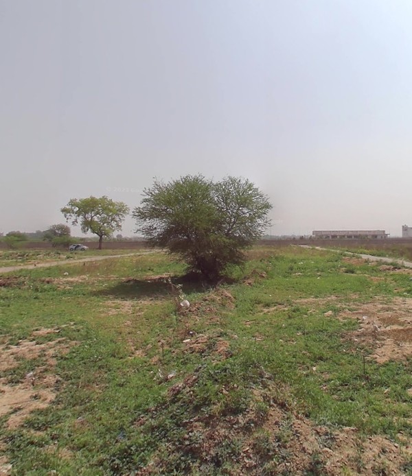Rohini Sector 37 Plot for Sale - A1 | 160B Street View
